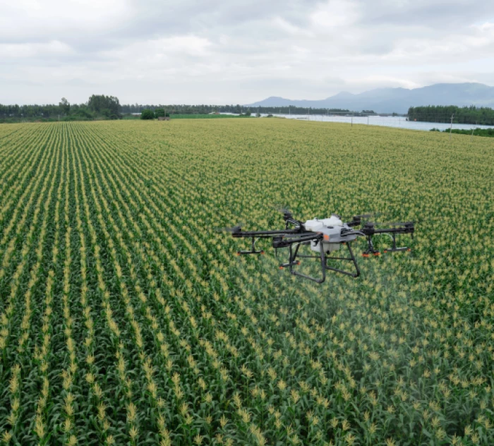 Történelmi pillanat: rovarölőszer az első drónnal kijuttatható növényvédőszer!