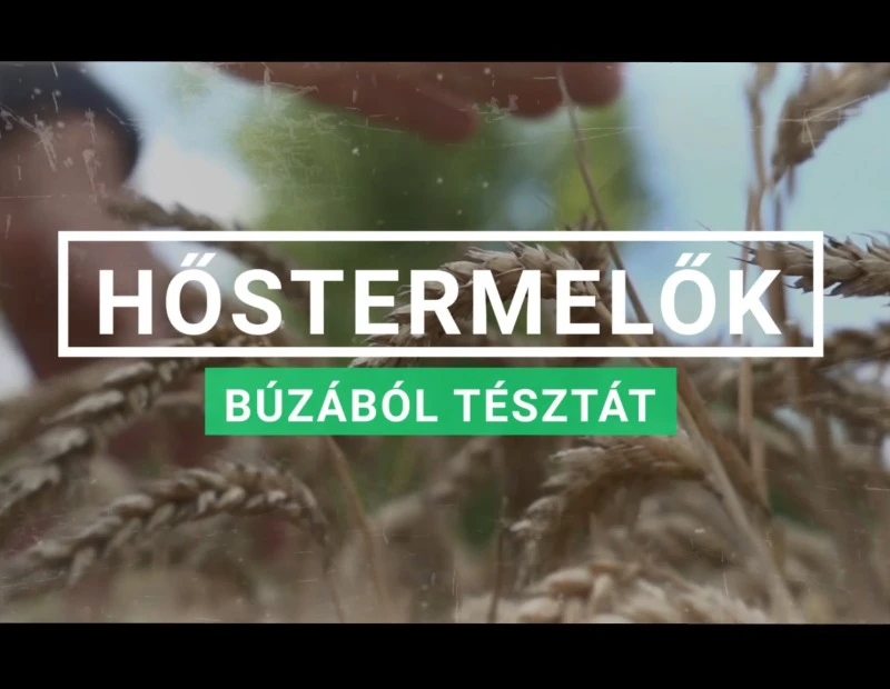 HŐSTERMELŐK #3 – Búzából tésztát. (+videó)