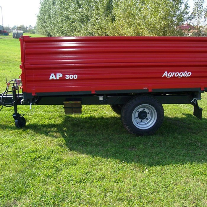 AP 300